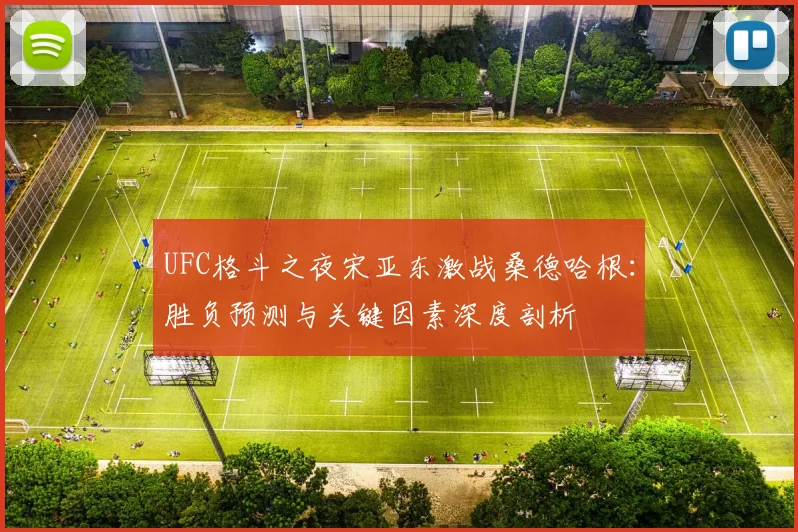UFC格斗之夜宋亚东激战桑德哈根：胜负预测与关键因素深度剖析