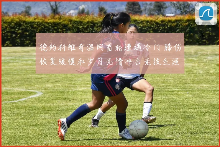 德约科维奇温网首轮遭遇冷门 膝伤恢复缓慢和岁月无情冲击竞技生涯