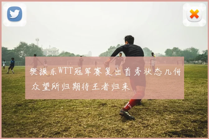 樊振东WTT冠军赛复出首秀状态几何 众望所归期待王者归来