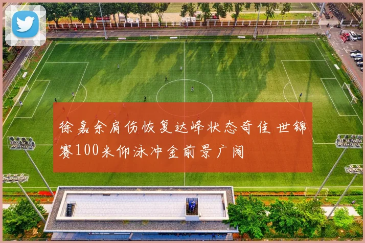徐嘉余肩伤恢复达峰状态奇佳 世锦赛100米仰泳冲金前景广阔